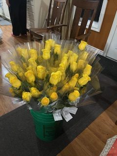 Roses 2025